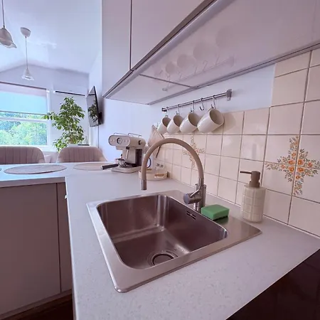 Apartament Ptys I Balbina W Centrum Rehabilitacji &Spa Bielsko-Biala