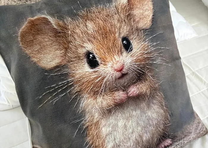 Ptys W Centrum Rehabilitacji &spa Apartment